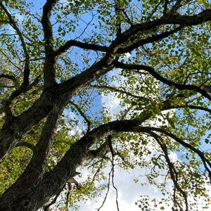 Meet your Posher, Tia